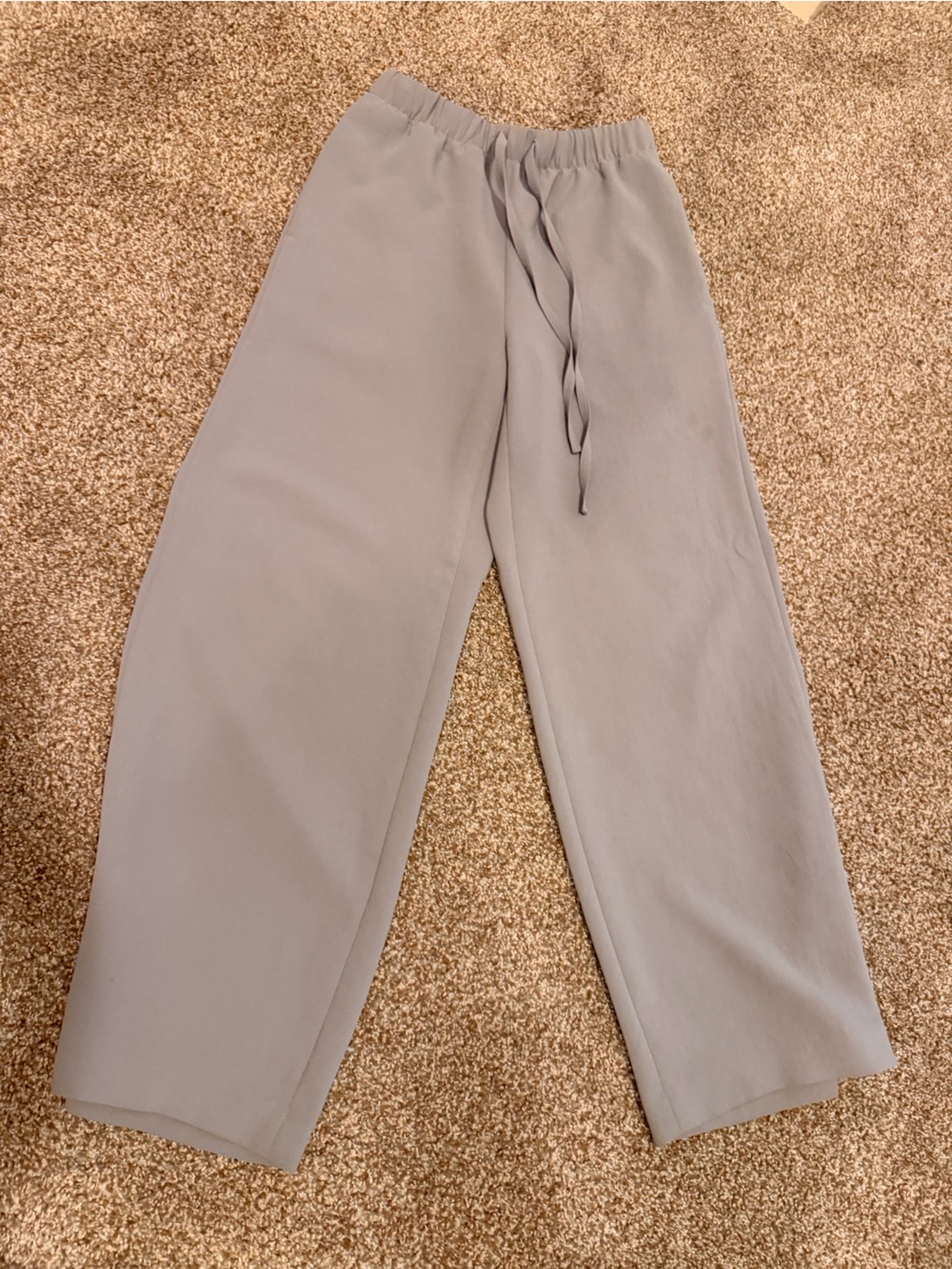 Aritzia Wide-Leg Drawstring Trousers in Light Gray